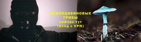 МДПВ Нягань