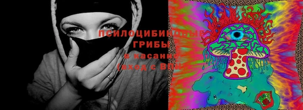 синтетический гашиш Нязепетровск