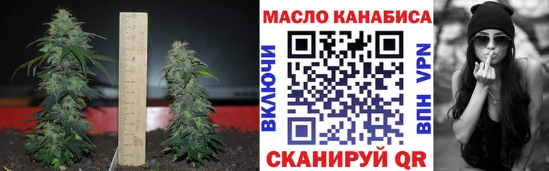 ТГК THC oil  Краснокамск 