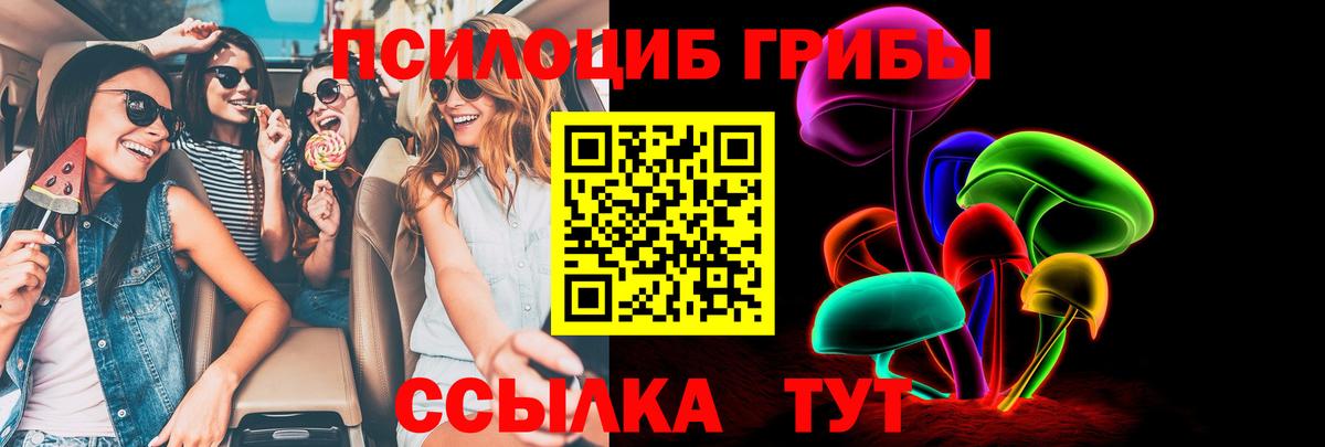 Галлюциногенные грибы Cubensis Краснокамск